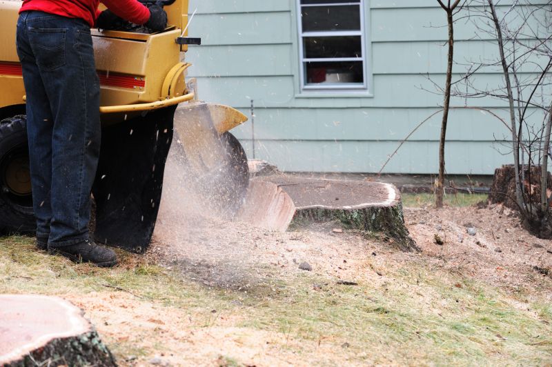 Stump Grinding Service