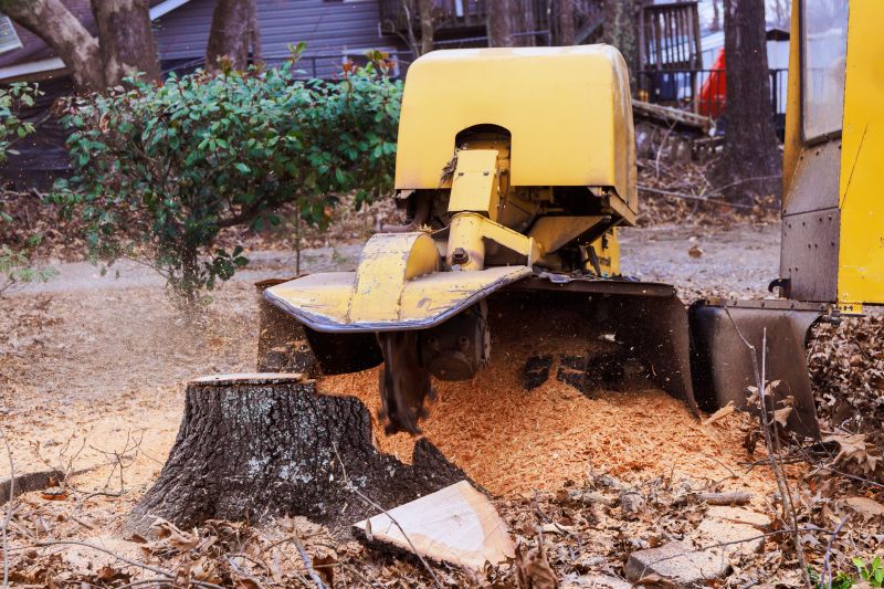 Stump Grinding Service